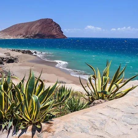 Tagoro Park By Lamondaos